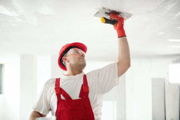 Best Air Quality Testing for Mold Spores  in Plantsville, CT
