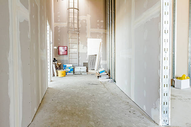 Best Comprehensive Air Testing for Mold Contaminants  in Plantsville, CT